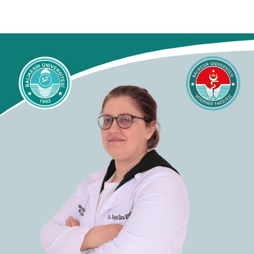 Ayşe Ebru BORUM