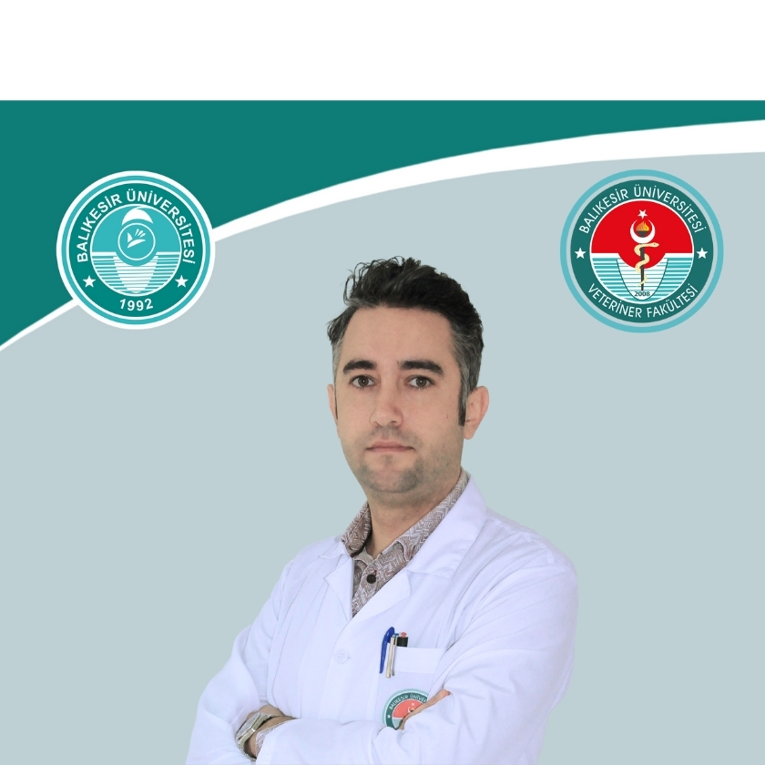 Mustafa USTA