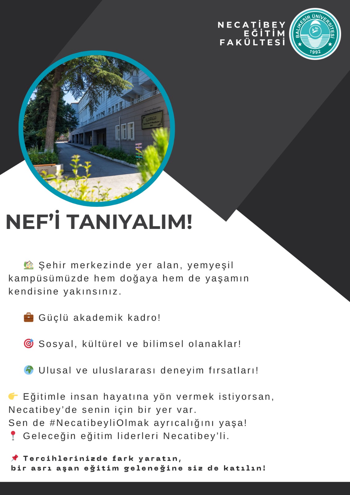neftanıtım3.jpg