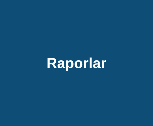 Raporlar