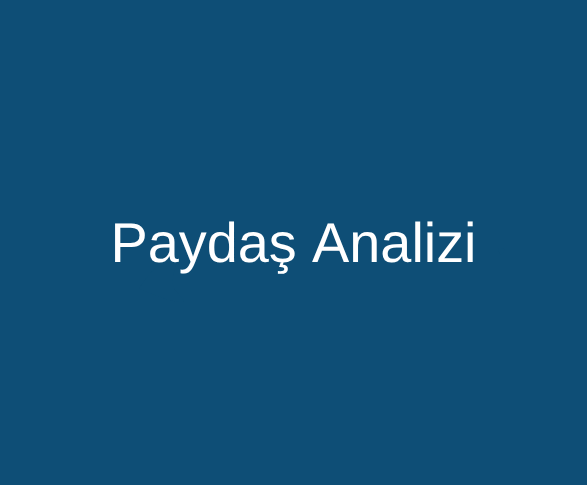 Paydaş Analizi