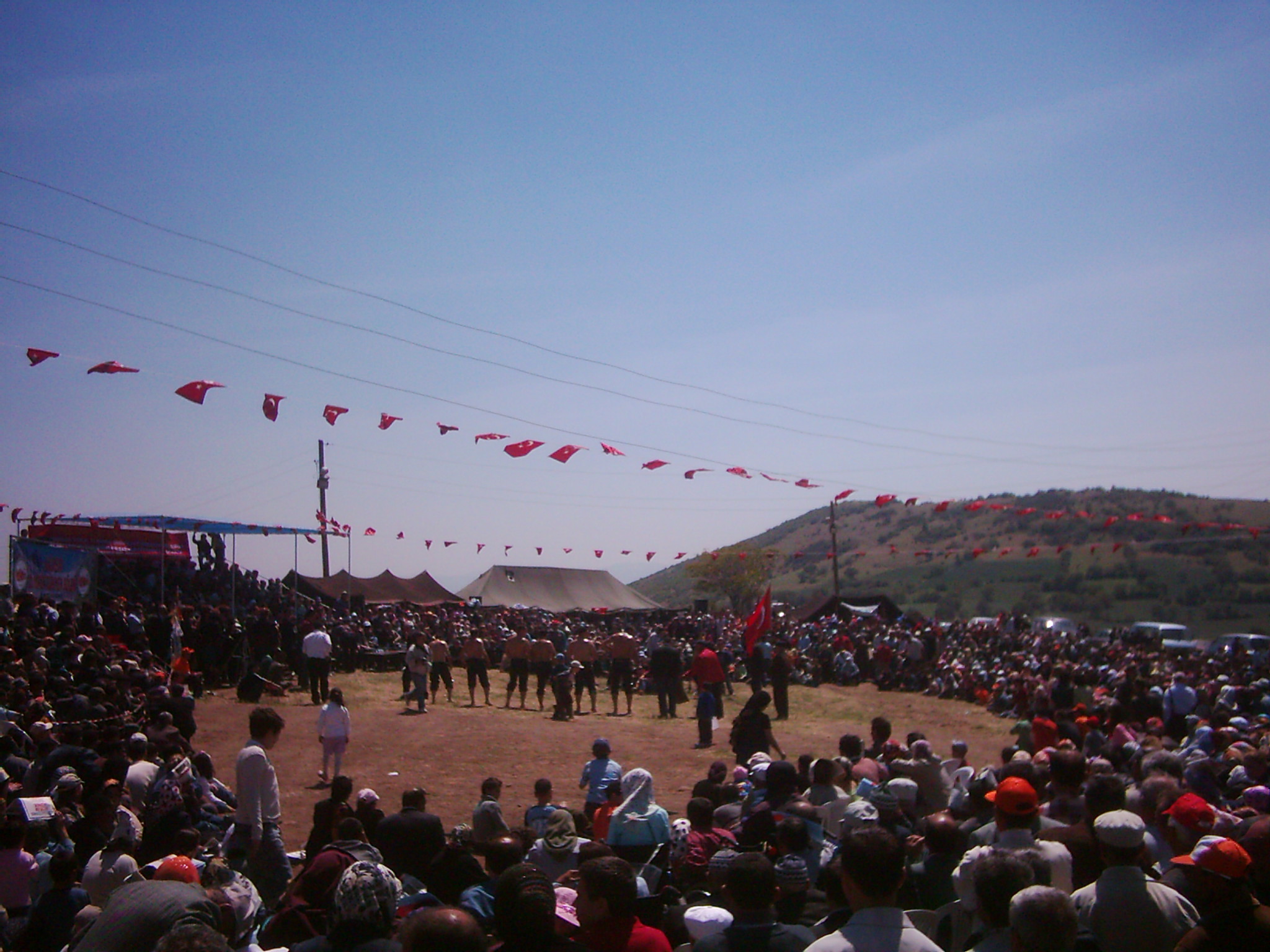 DSCI0170.JPG
