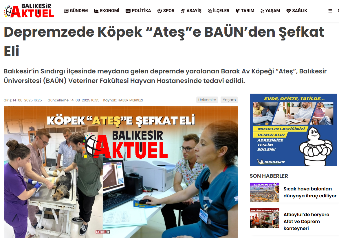Depremzede Köpek “Ateş”e BAÜN’den Şefkat Eli
