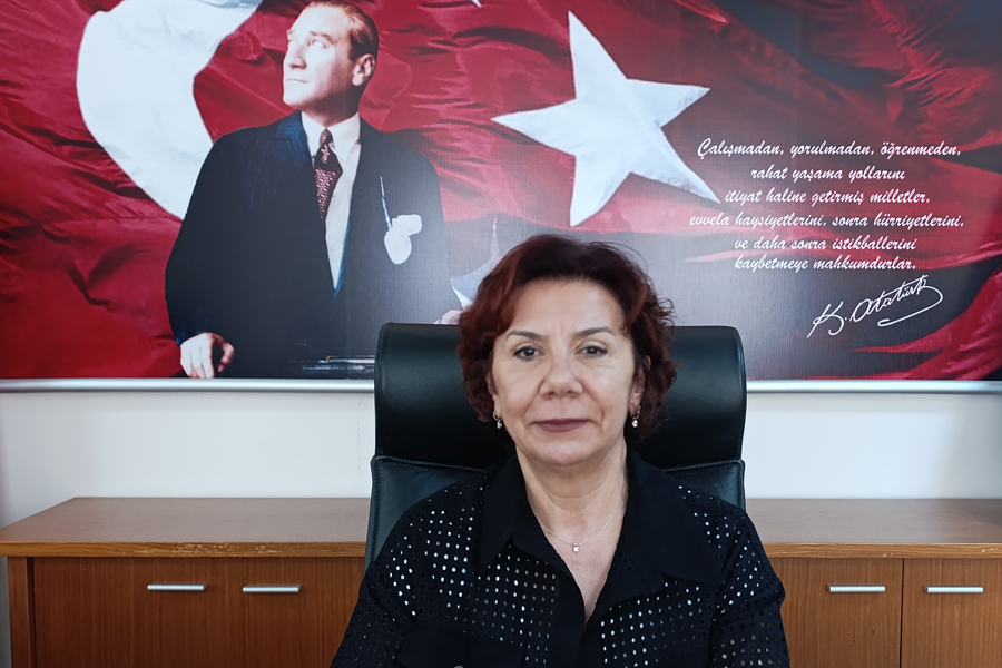 Sare ÇELİK
