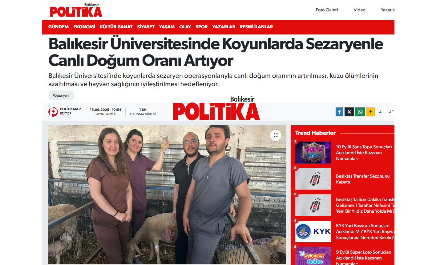 Balıkesir Üniversitesinde Koyunlarda Sezaryenle Canlı Doğum Oranı Artıyor