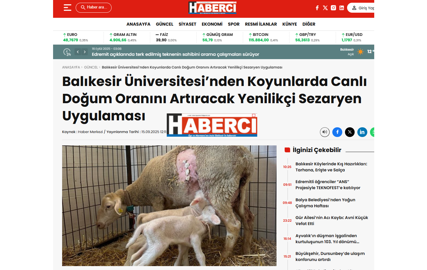 Balıkesir Üniversitesi'nde Koyunlarda Canlı Doğum Oranını Artıracak Yenilikçi Sezaryen Uygulaması 