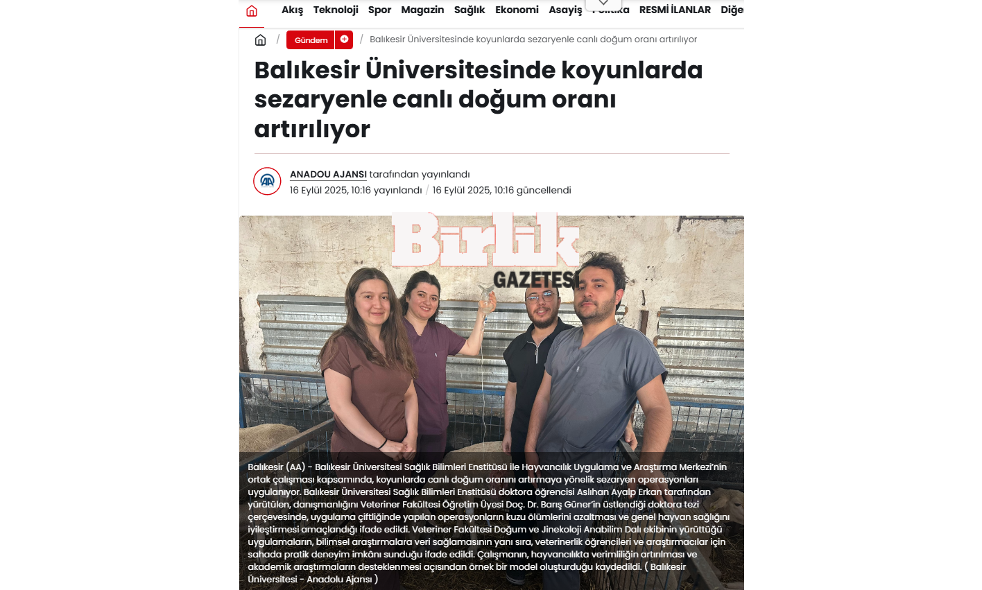 Balıkesir Üniversitesinde koyunlarda sezaryenle canlı doğum oranı artırılıyor