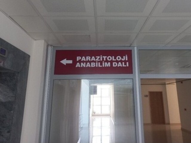 p1.jpg