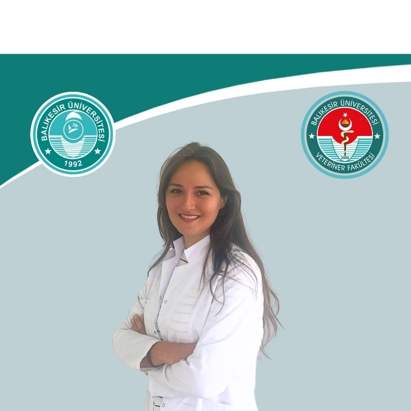 Tevhide Elif GUNER