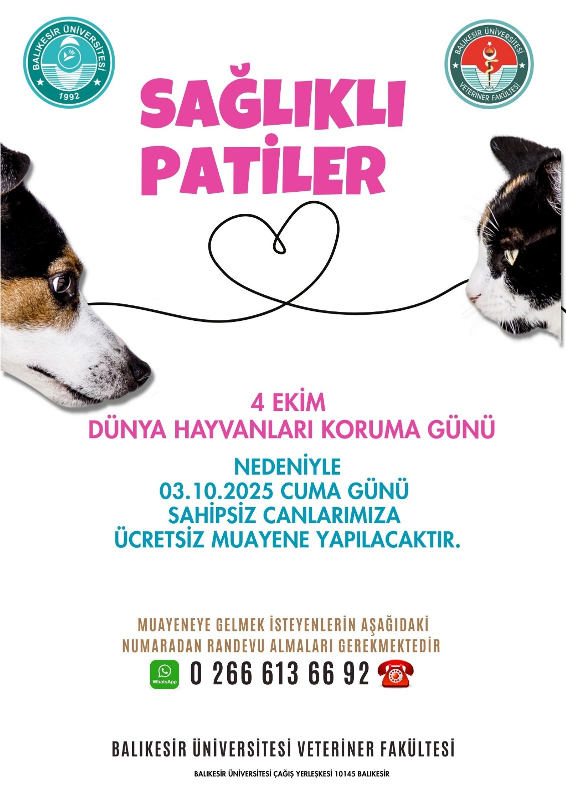 🐾 4 Ekim Dünya Hayvanları Koruma Günü 🐾