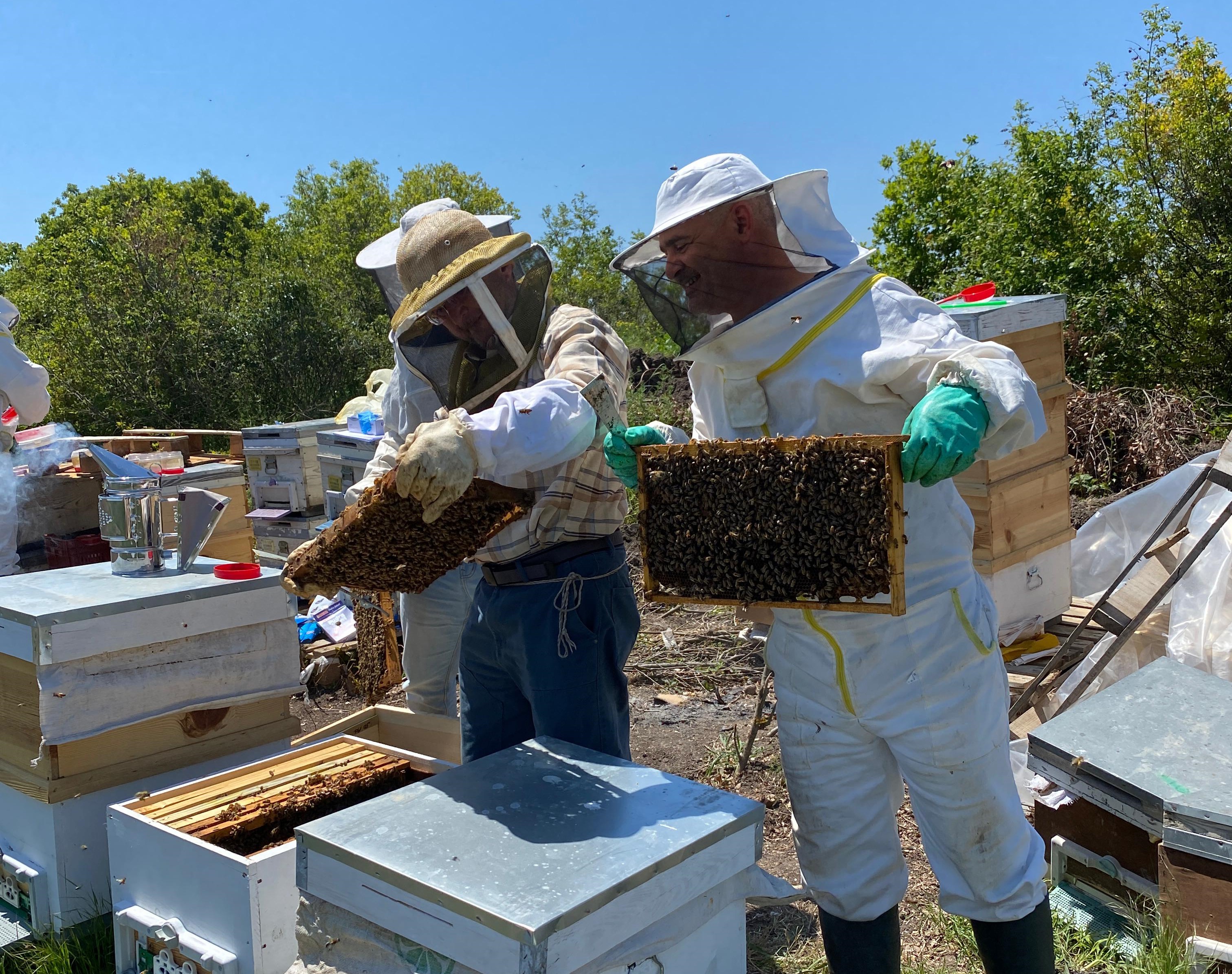 Innovative, Nature-Friendly Honey Production from BAÜN: Among the World's Best in Quality 2