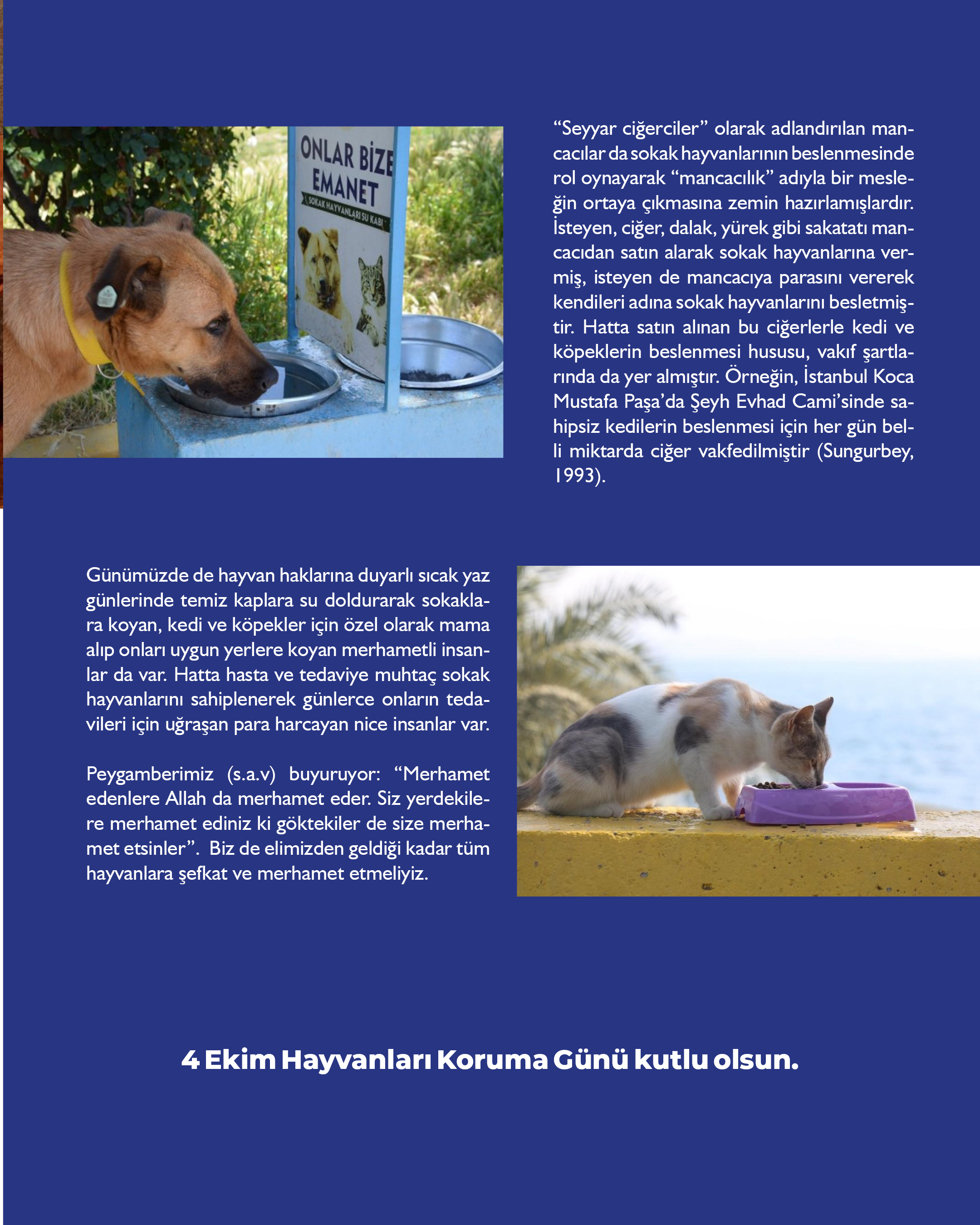 Akademisyenlerimizden; "Tarihimizde Hayvan Sevgisi"- Prof. Dr. Ş. Hakan Atalgın - Veteriner Fakültesi Veteriner Hekimliği Tarih ve Deontoloji Anabilim Dalı Başkanı 6