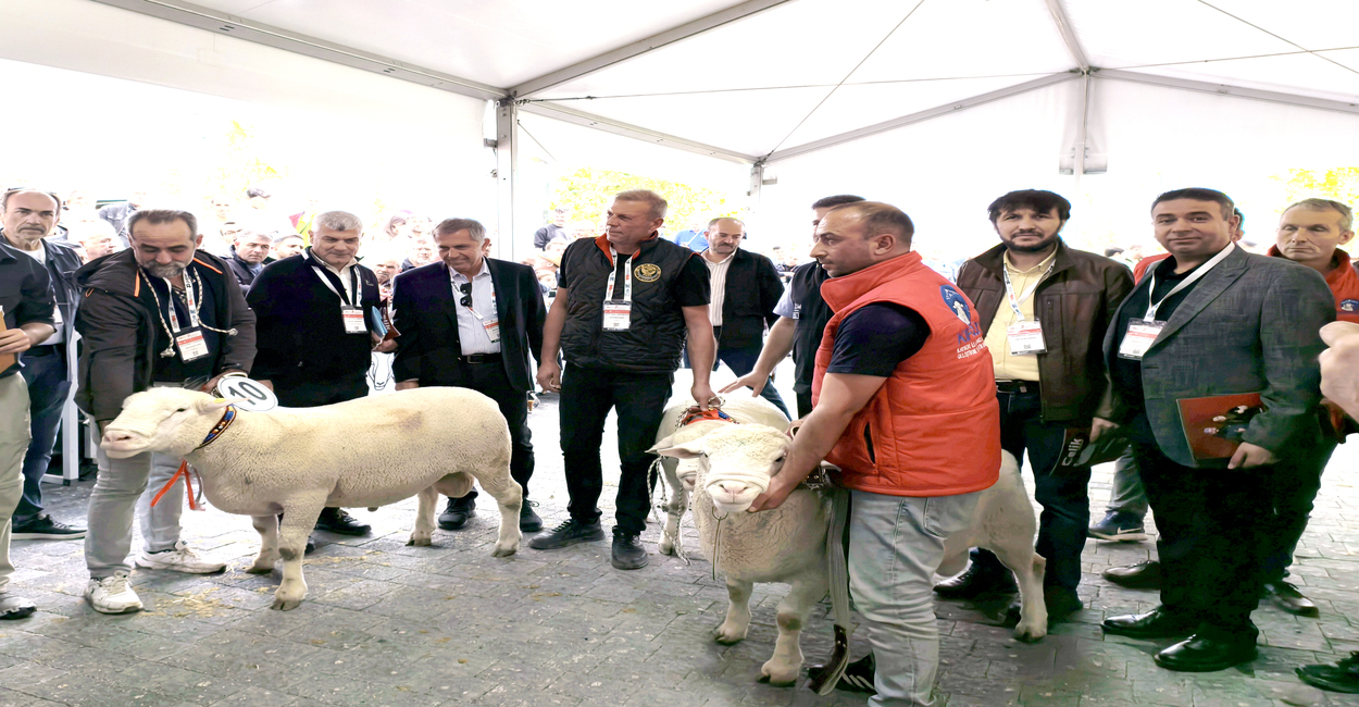 BAÜN Faculty of Veterinary Medicine Academic Support for the Agriculture and Livestock Fair 1