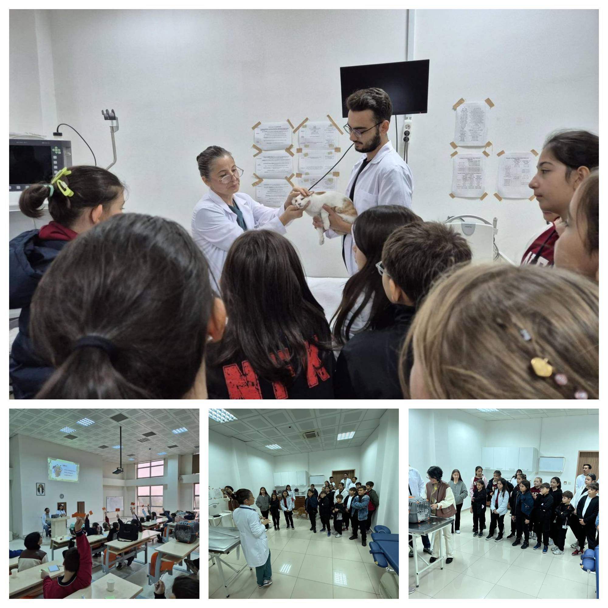 Students from Karesi Necip Fazıl Kısakürek Middle School Visit Our Faculty 3