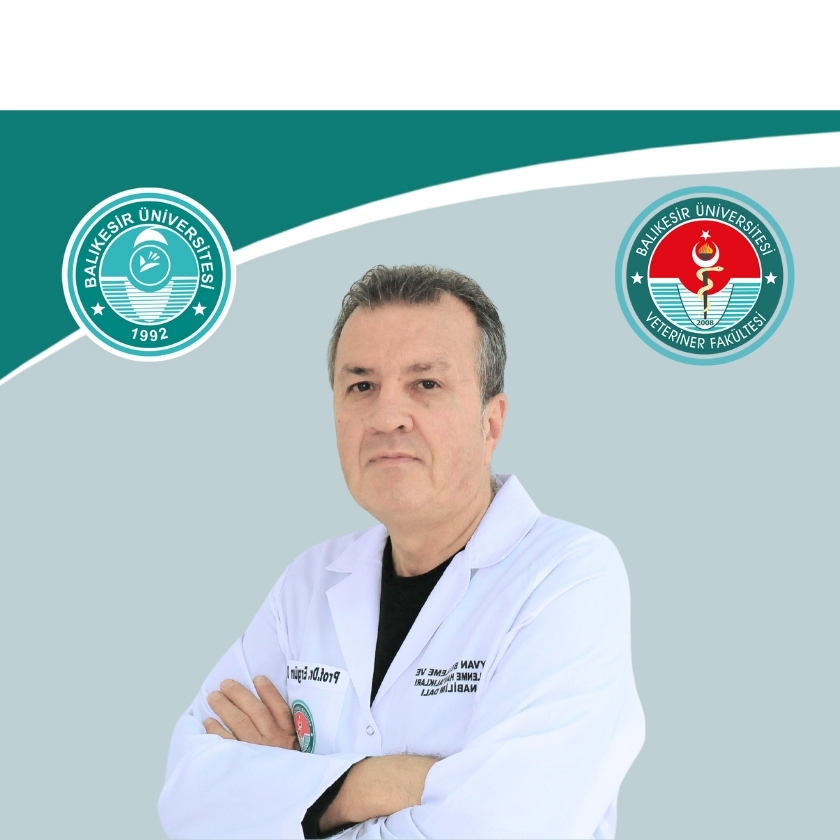 Prof. Dr. Ergün DEMİR