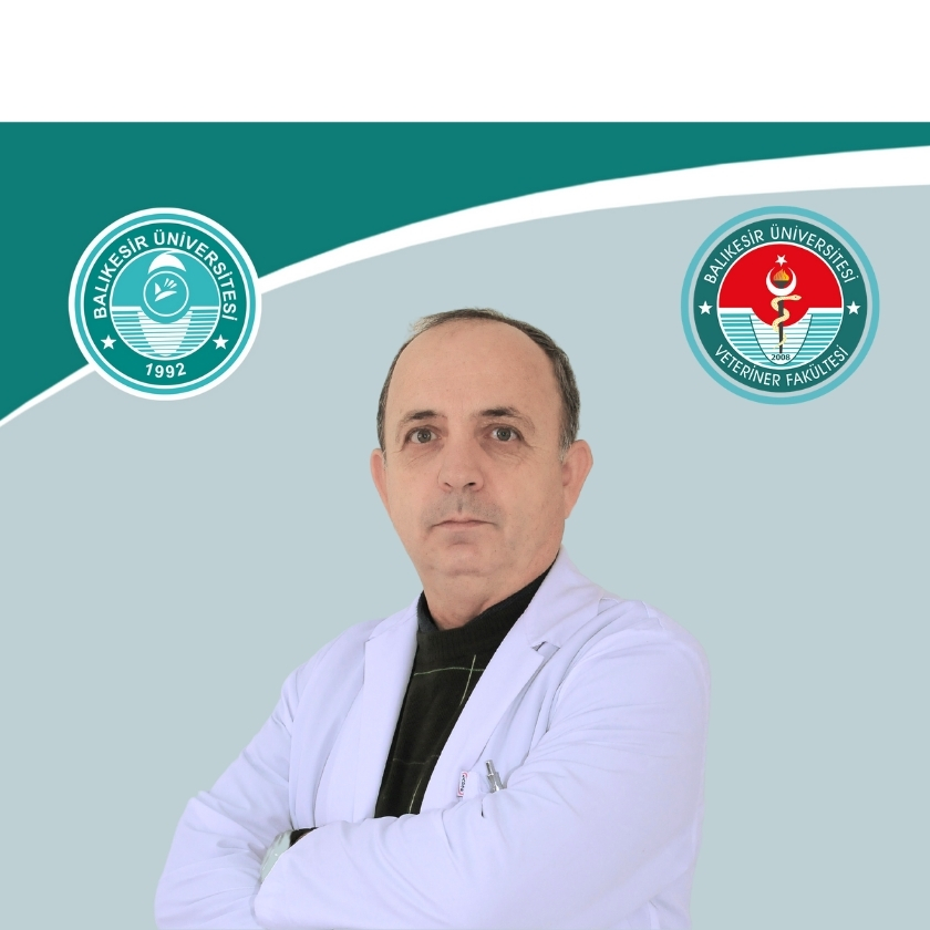 Prof. Dr. Musa KARAMAN