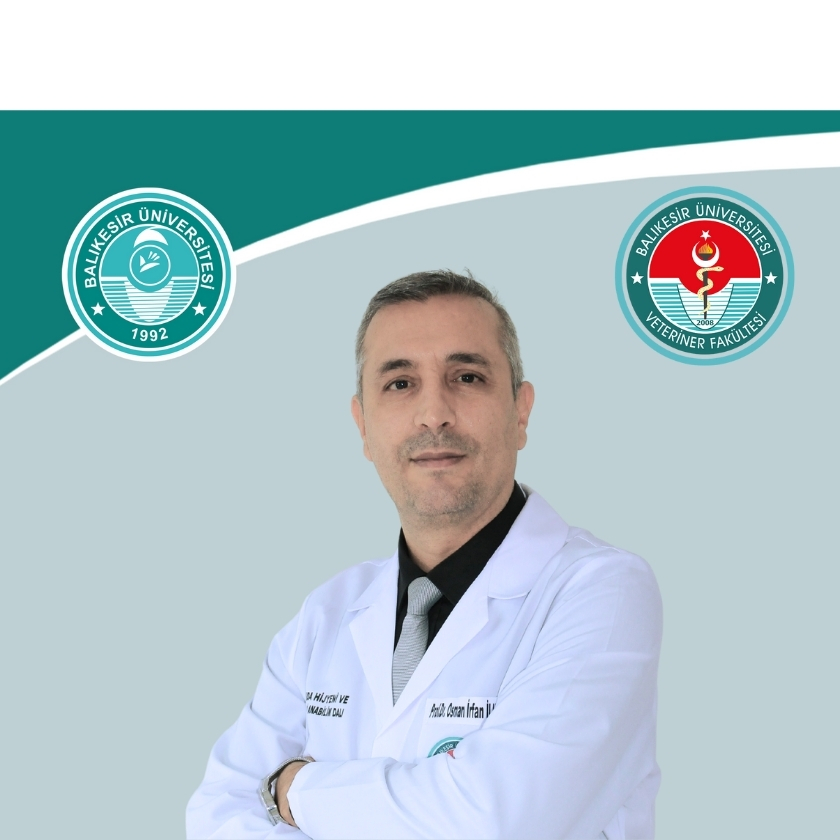 Prof. Dr. Osman İrfan İLHAK