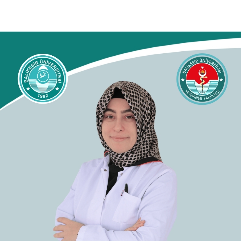 Doç.Dr. Büşra YARANOĞLU