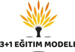3+1 Eğitim Modeli Logosu
