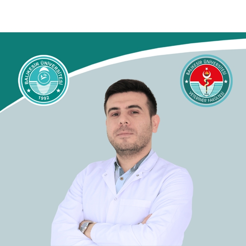 Mehmet Özüiçli