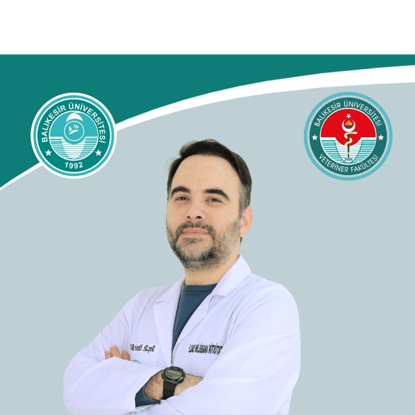 Doç. Dr. Yasin BAYKALIR