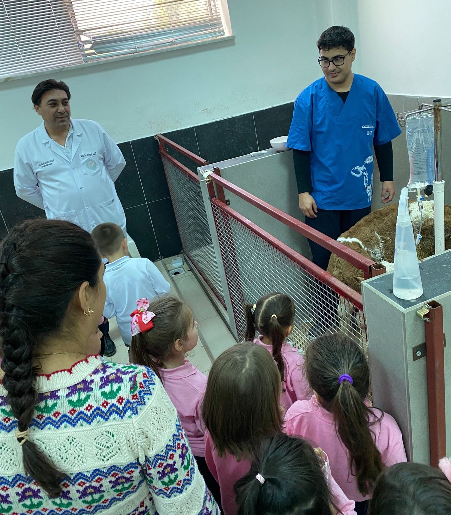 BAÜN Veteriner Fakültesinde, Minik Kalpler Bilim ve Hayvan Sevgisiyle Tanıştı 2