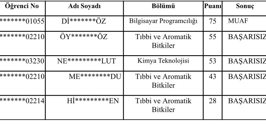 Ek Kontenjan Yabancı Dil Muafiyet Sınav Sonuçları 1