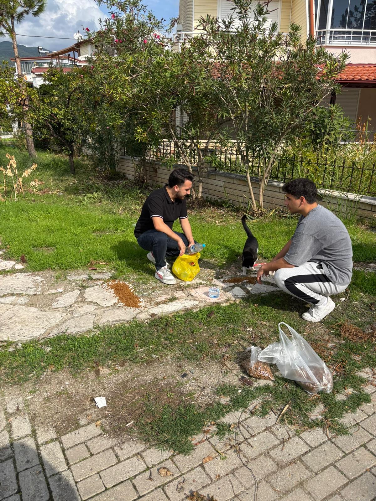Patilere Umut Kampanyası Sokak Hayvanlarına Can Oldu 3