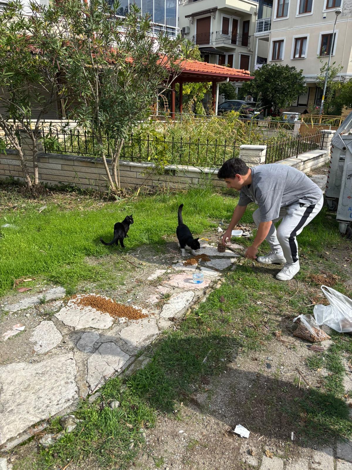 Patilere Umut Kampanyası Sokak Hayvanlarına Can Oldu 4