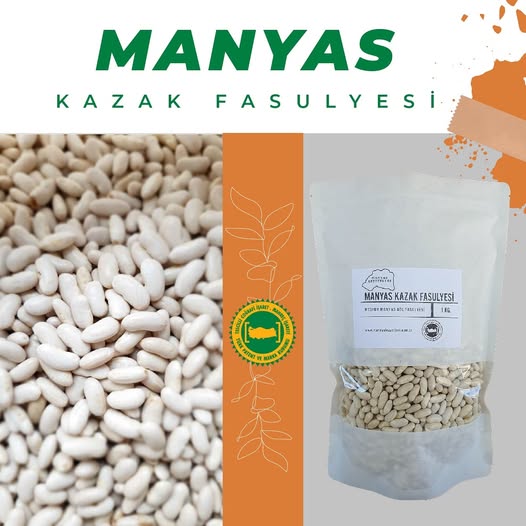 Kazak Fasulyesi Hasat Festivali