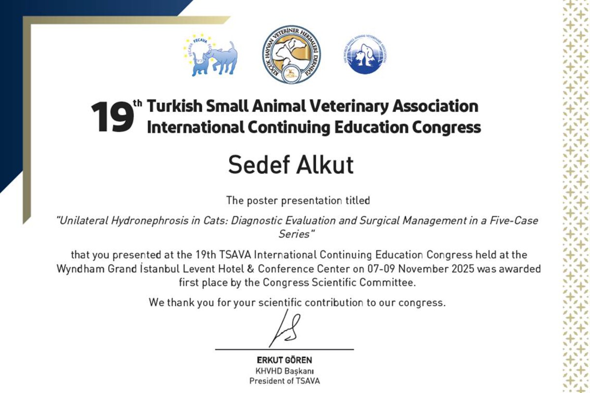 BAÜN Faculty of Veterinary Medicine Wins First Prize at International Congress 3
