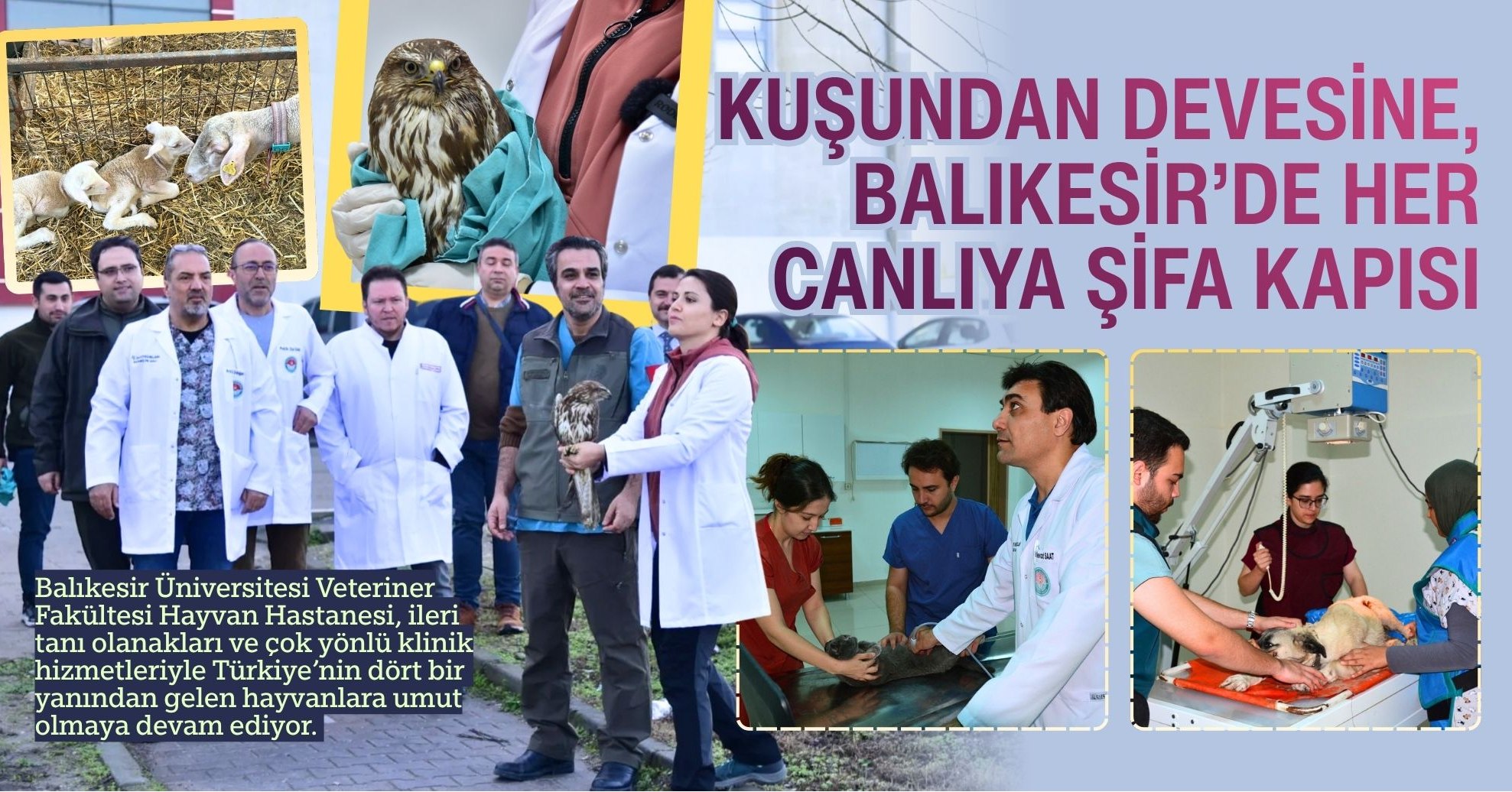 BAÜN Faculty of Veterinary Medicine Animal Hospital Offers Hope to Animals from All Over Turkey  1
