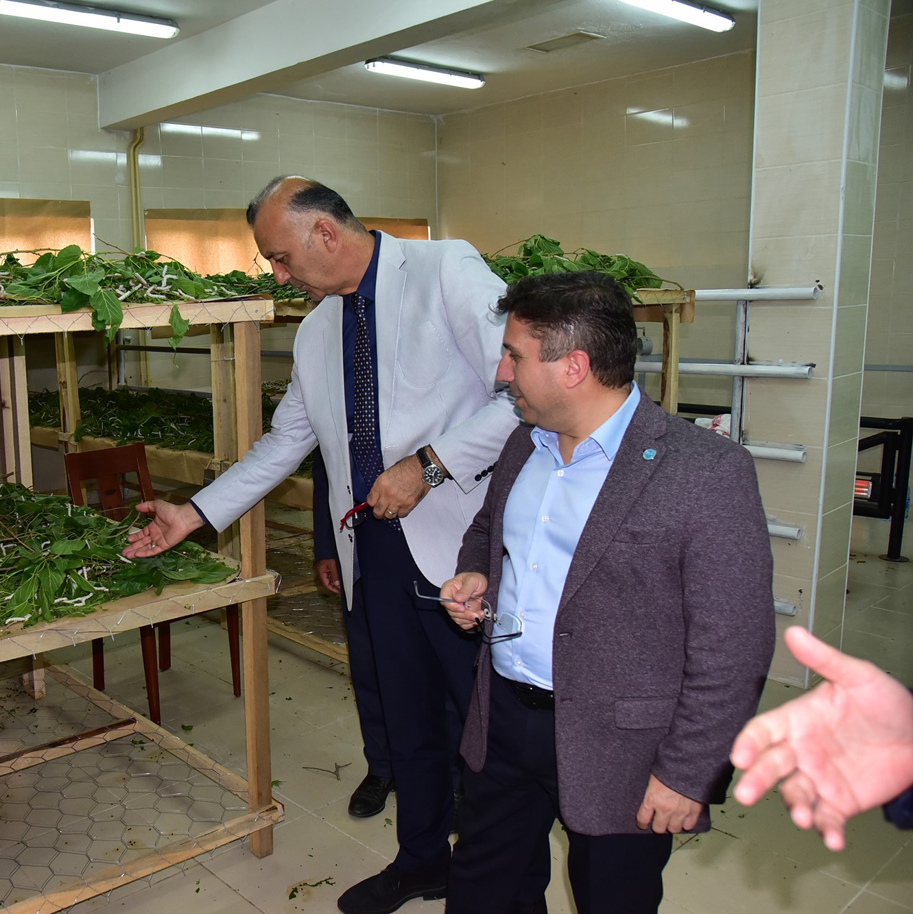 Traditional Silk Worm Farming Revived at BAÜN 2