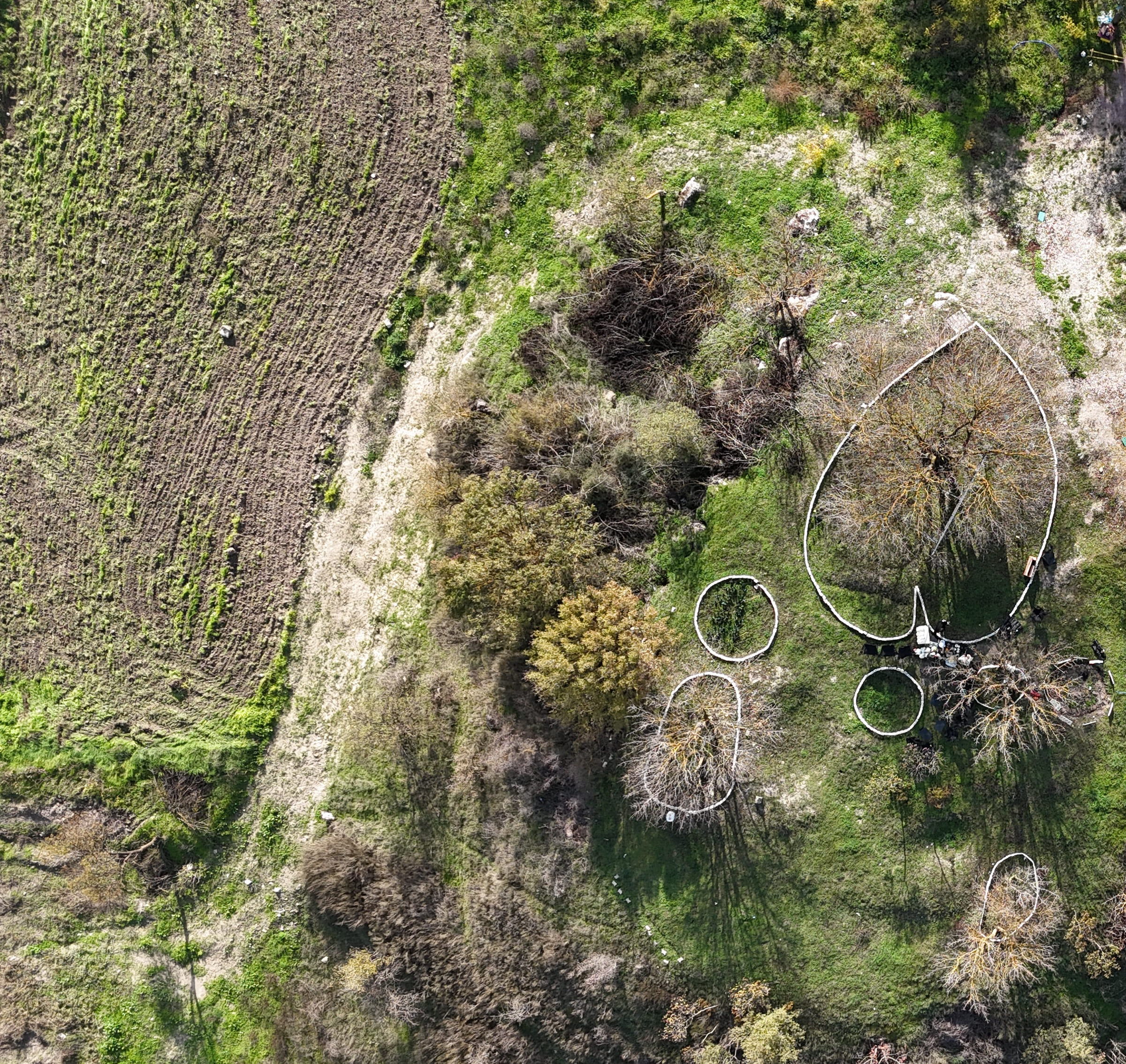 Botanik Bahçesinde Drone ile Görüntüleme Çalışması Gerçekleştirildi 8