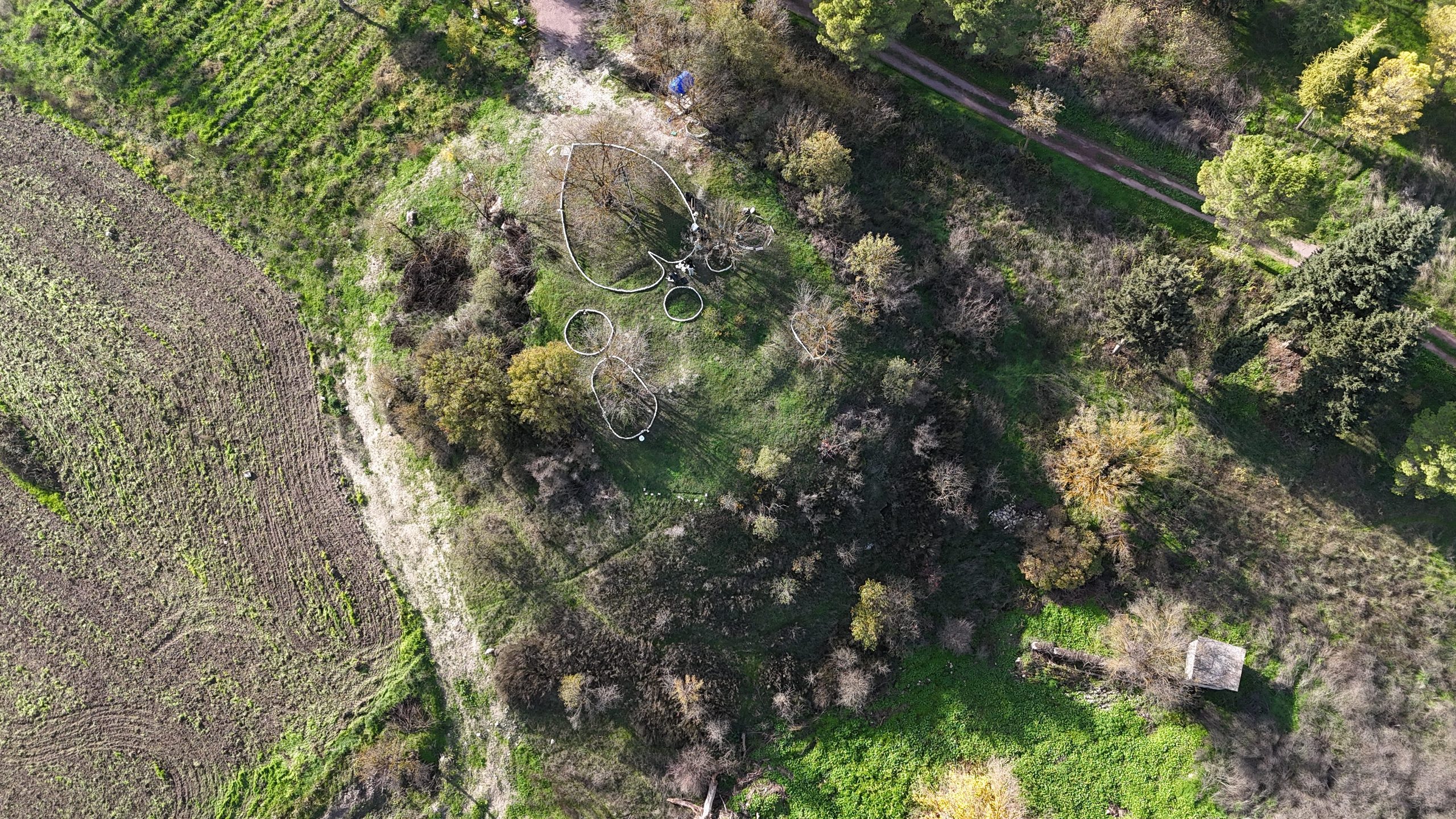 Botanik Bahçesinde Drone ile Görüntüleme Çalışması Gerçekleştirildi 3