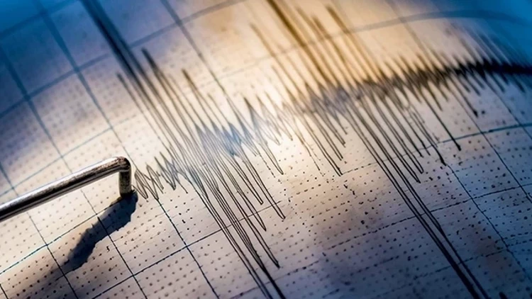 Balıkesir Üniversitesi Deprem Çalışmaları Uygulama ve Araştırma Merkezi Müdürü Prof. Dr. İbrahim Türkmen, Balıkesir'in Sındırgı ilçesindeki depremle ilgili açıklamaları
