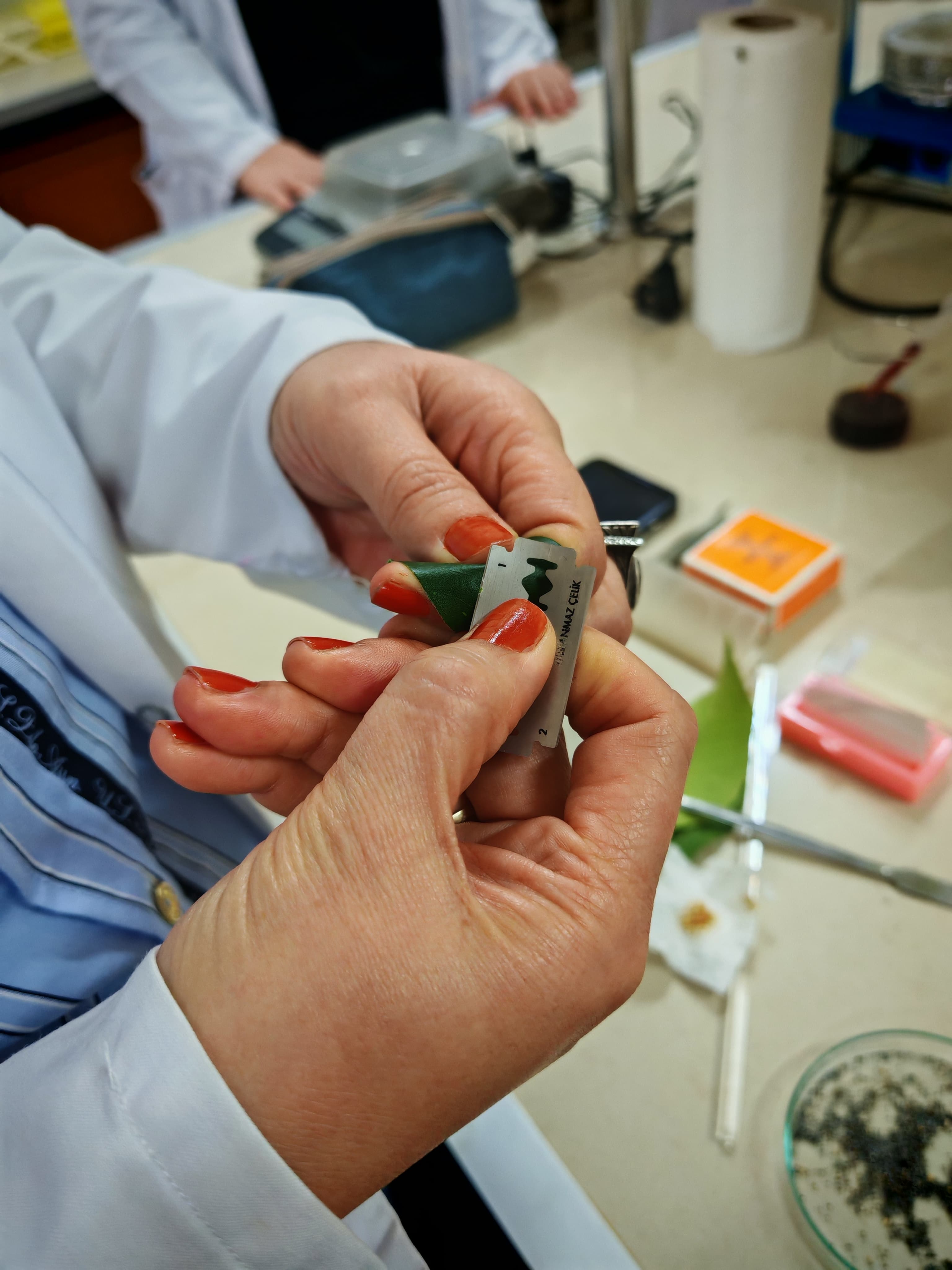 Gıda Teknolojisi ve Biyoteknoloji Dersi Uygulamasında Mikroskobik İncelemeler 4