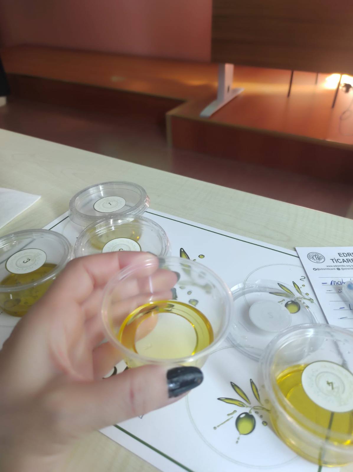 Olive Oil Tasting Training Held at Edremit Vocational School 5