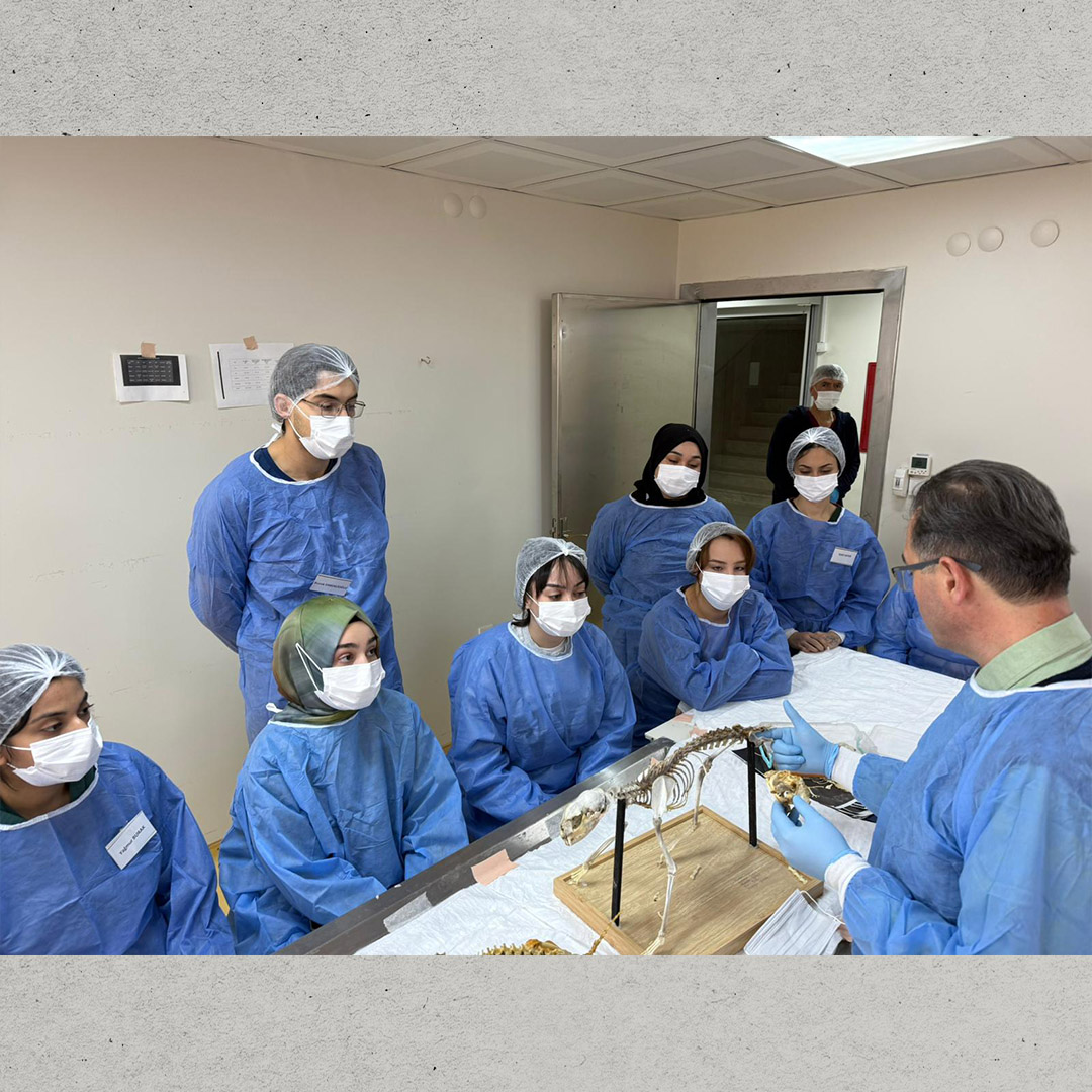 BAUNDEHAM'da Deney Hayvanları Kullanım Sertifikası Kursu’nun 11’incisi Başarıyla Tamamlandı 3