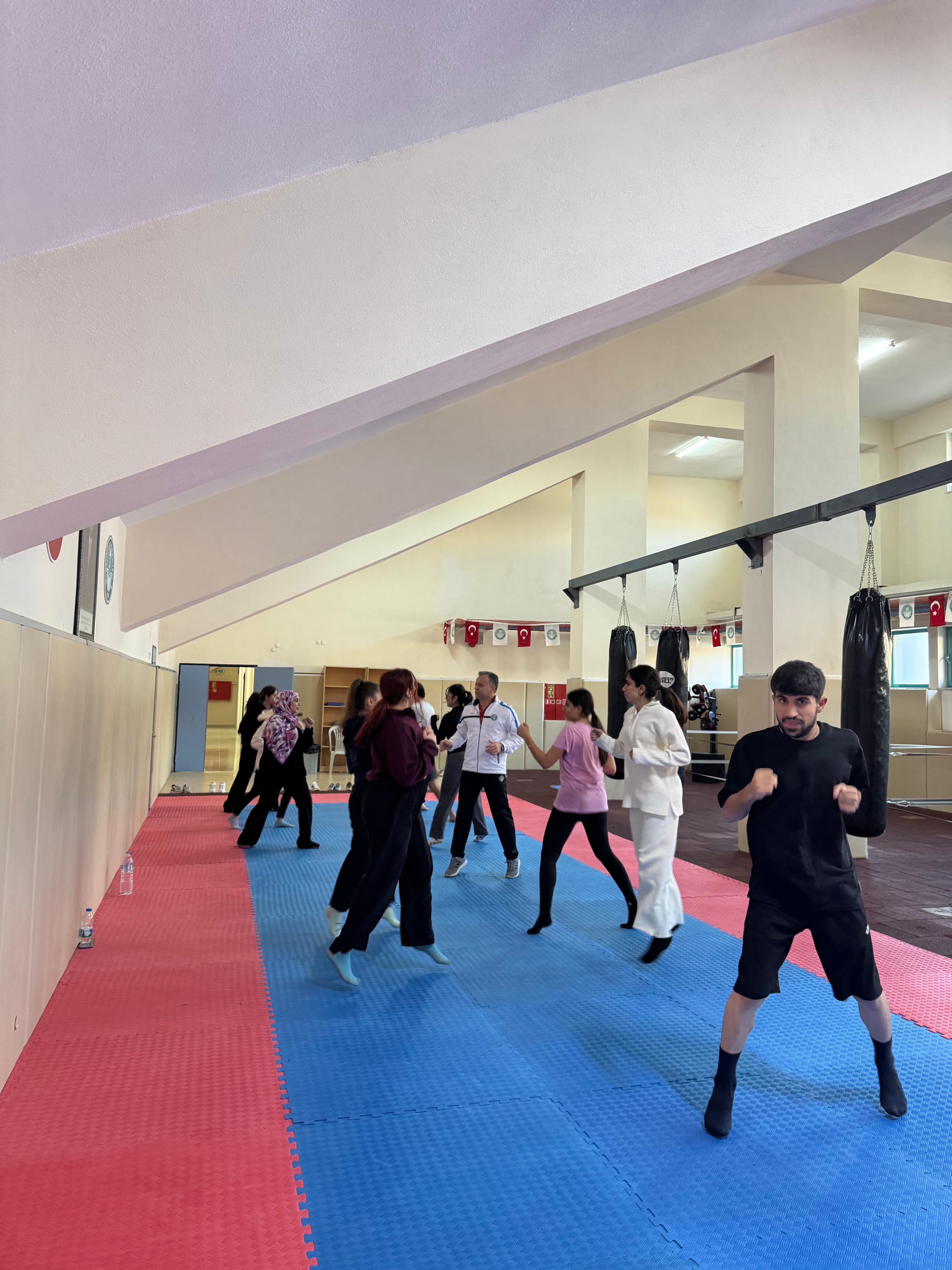Ücretsiz Taekwondo Kursları Devam Ediyor