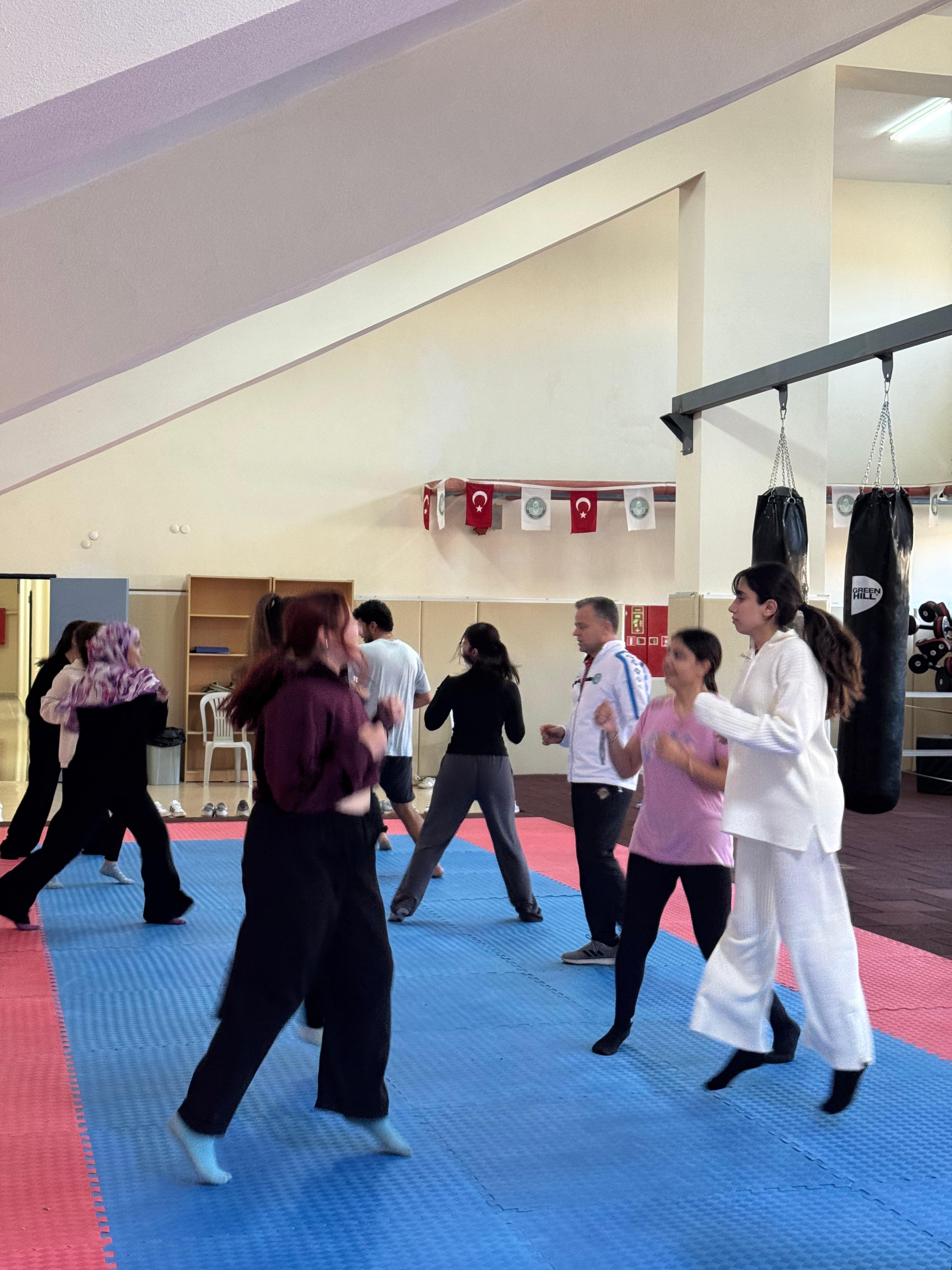 Ücretsiz Taekwondo Kursları Devam Ediyor 3