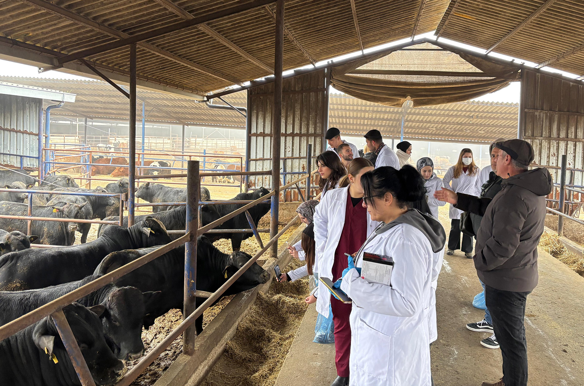 BAÜN Kepsut MYO Veterinerlik Bölümü Öğrencileri Mesleki Bilgilerini Sahada Pekiştirdi 3