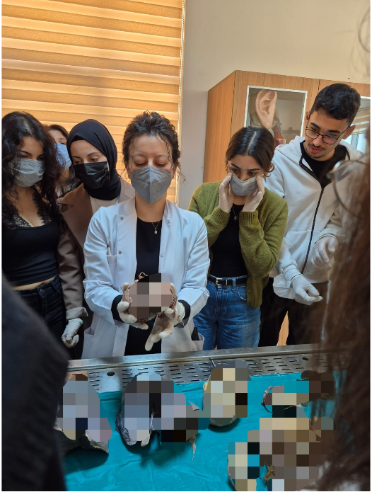 Balıkesir Üniversitesi Tıp Fakültesi Anatomi Anabilim Dalına teknik gezi düzenlendi