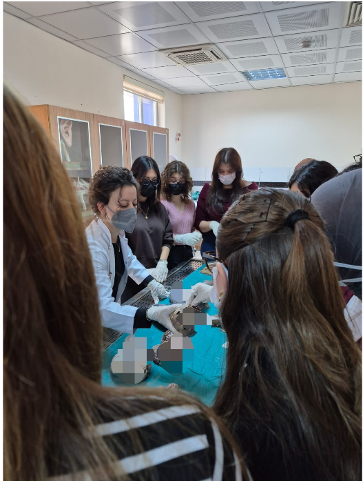 Balıkesir Üniversitesi Tıp Fakültesi Anatomi Anabilim Dalına teknik gezi düzenlendi 4