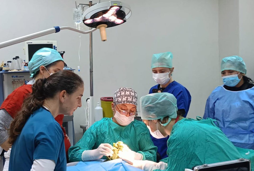 BAÜN Veteriner Fakültesi Hayvan Hastanesinden 2025’te Rekor Başarı: 3 Bine Yakın Hayvana Şifa 2