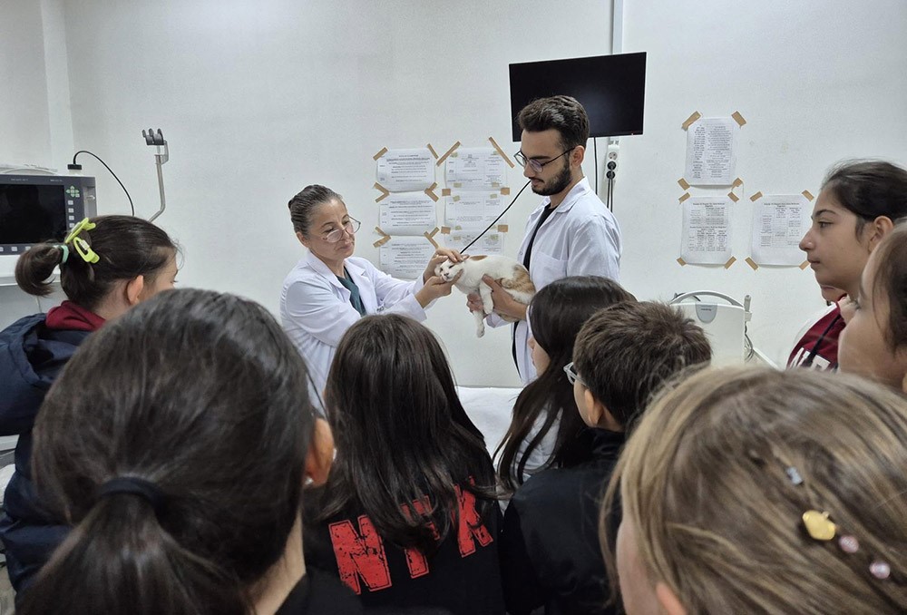 Our Faculty Achieves Record Success at the Animal Hospital in 2025: Treating Nearly 3,000 Animals