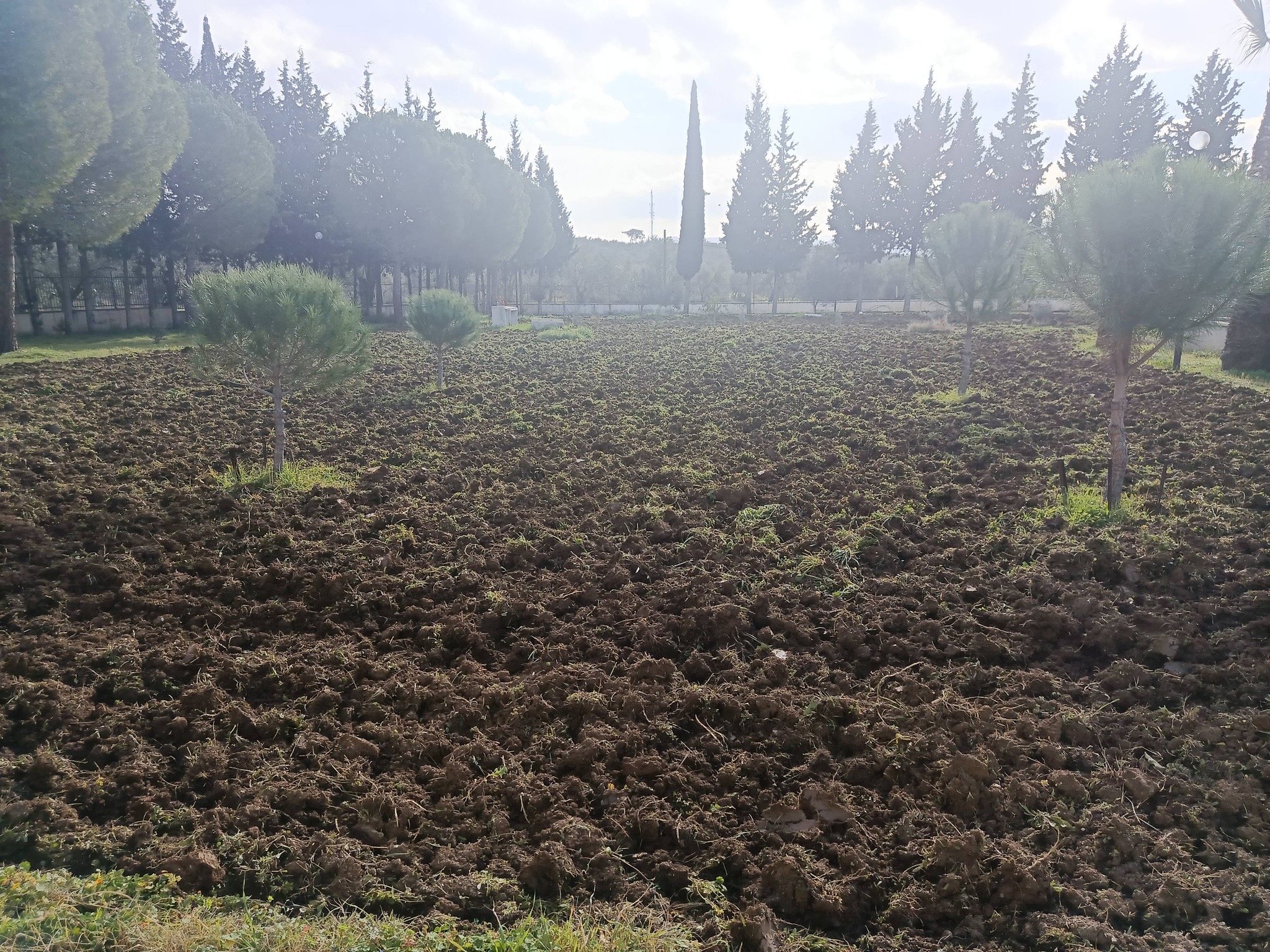 Soil Preparation Begins for the Establishment of the Lavender Garden at Our Vocational School