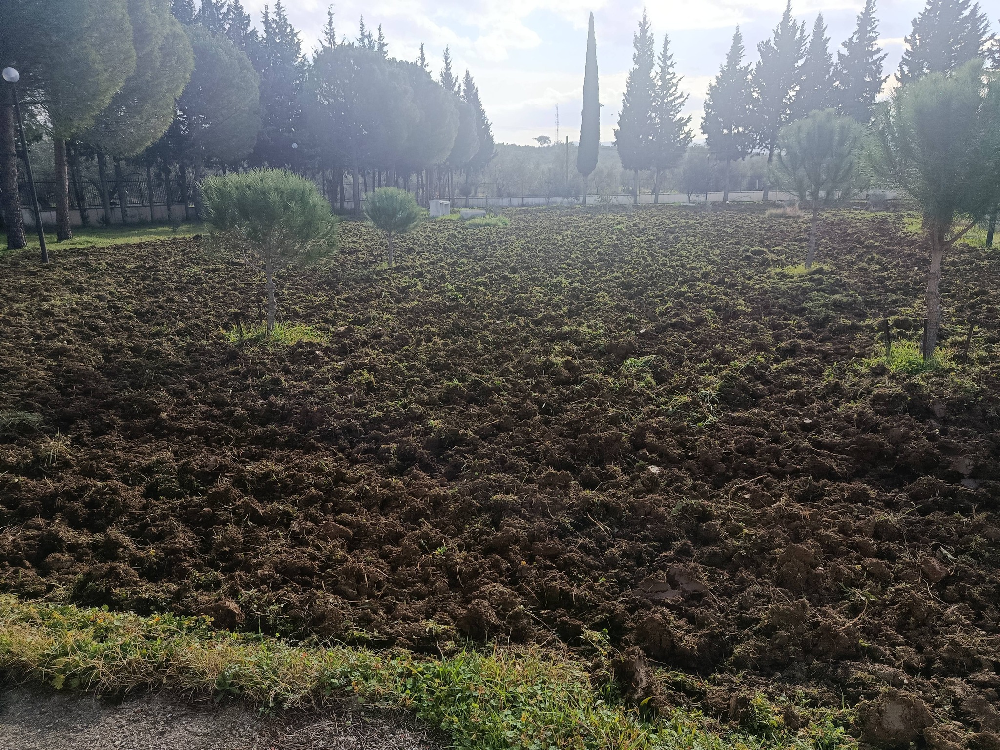 Soil Preparation Begins for the Establishment of the Lavender Garden at Our Vocational School 2