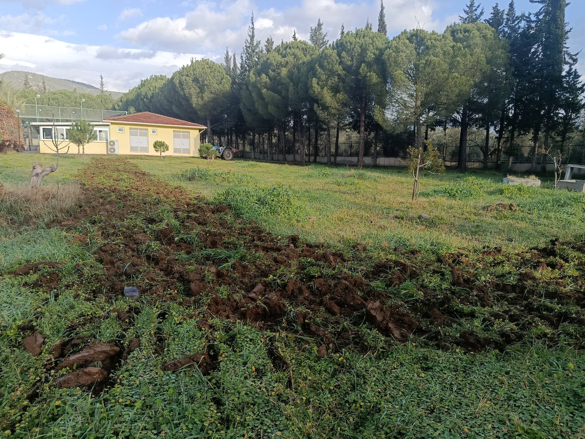 Soil Preparation Begins for the Establishment of the Lavender Garden at Our Vocational School 3