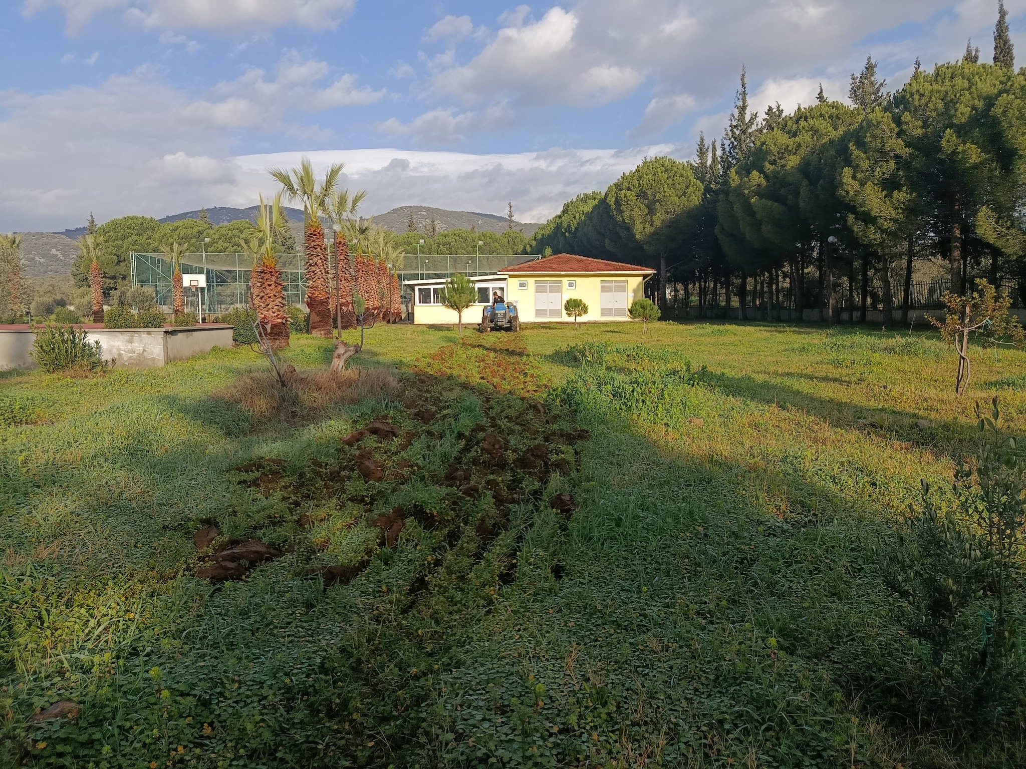 Soil Preparation Begins for the Establishment of the Lavender Garden at Our Vocational School 4